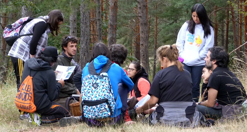 El papel fundamental de la educaciÃ³n medioambiental en la sociedad.